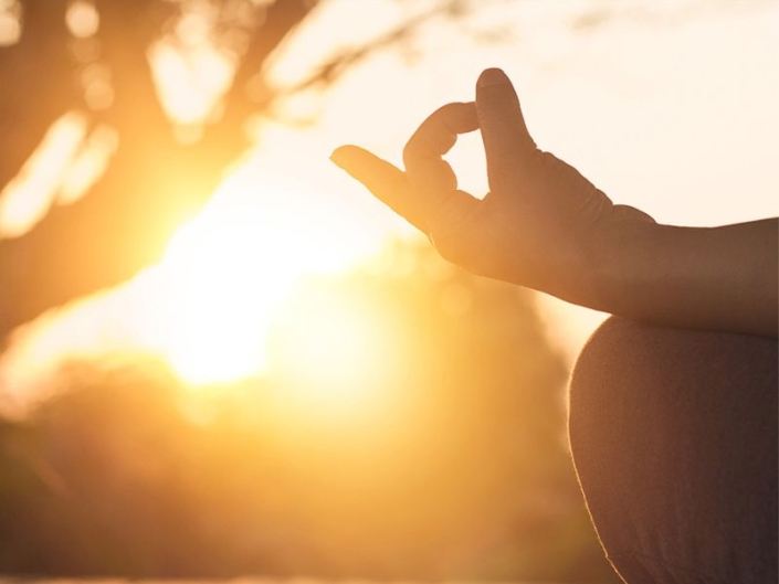 Meditation & Dharma